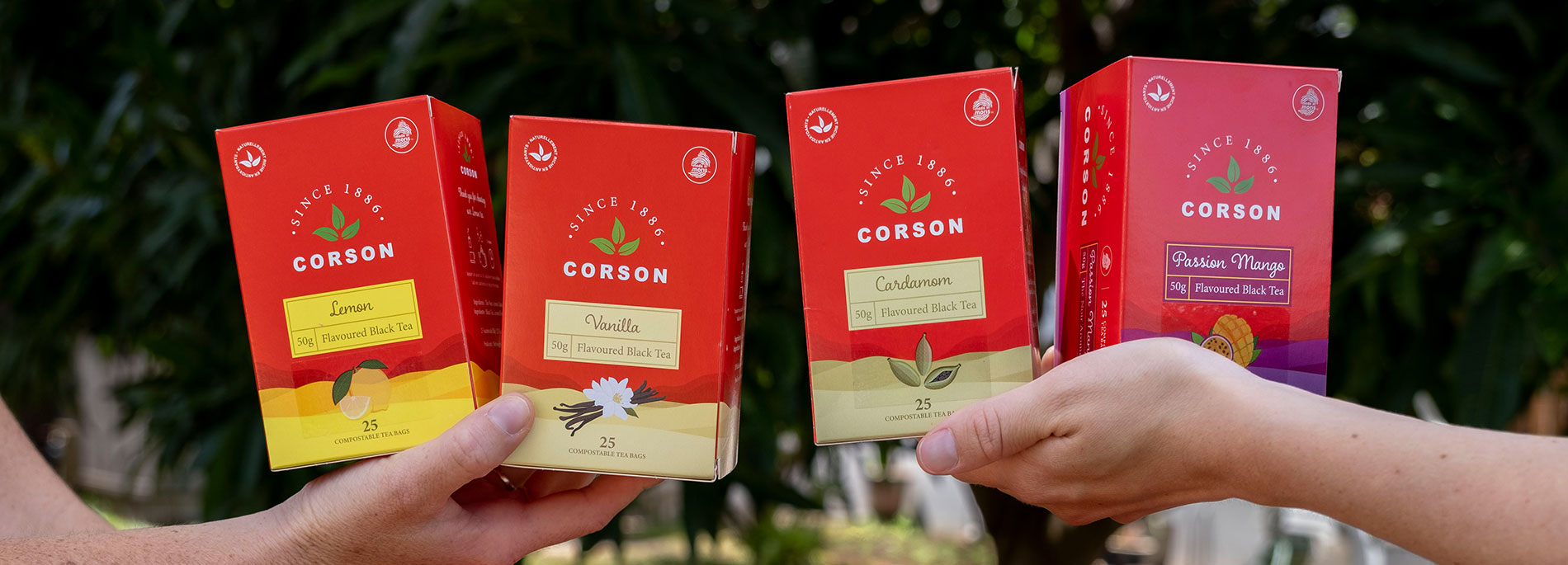 Corson Tea